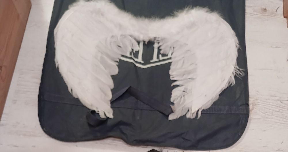 Крила  білі відмінний стан