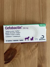 Cefabactin Tabletki dla psów i kotów NOWE