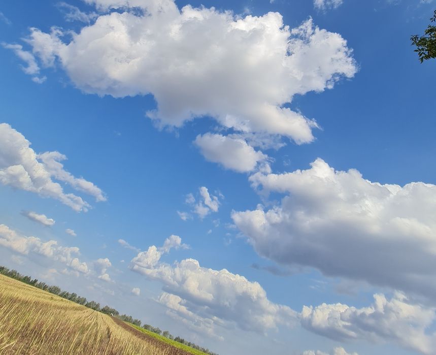 Оренда земельного паю