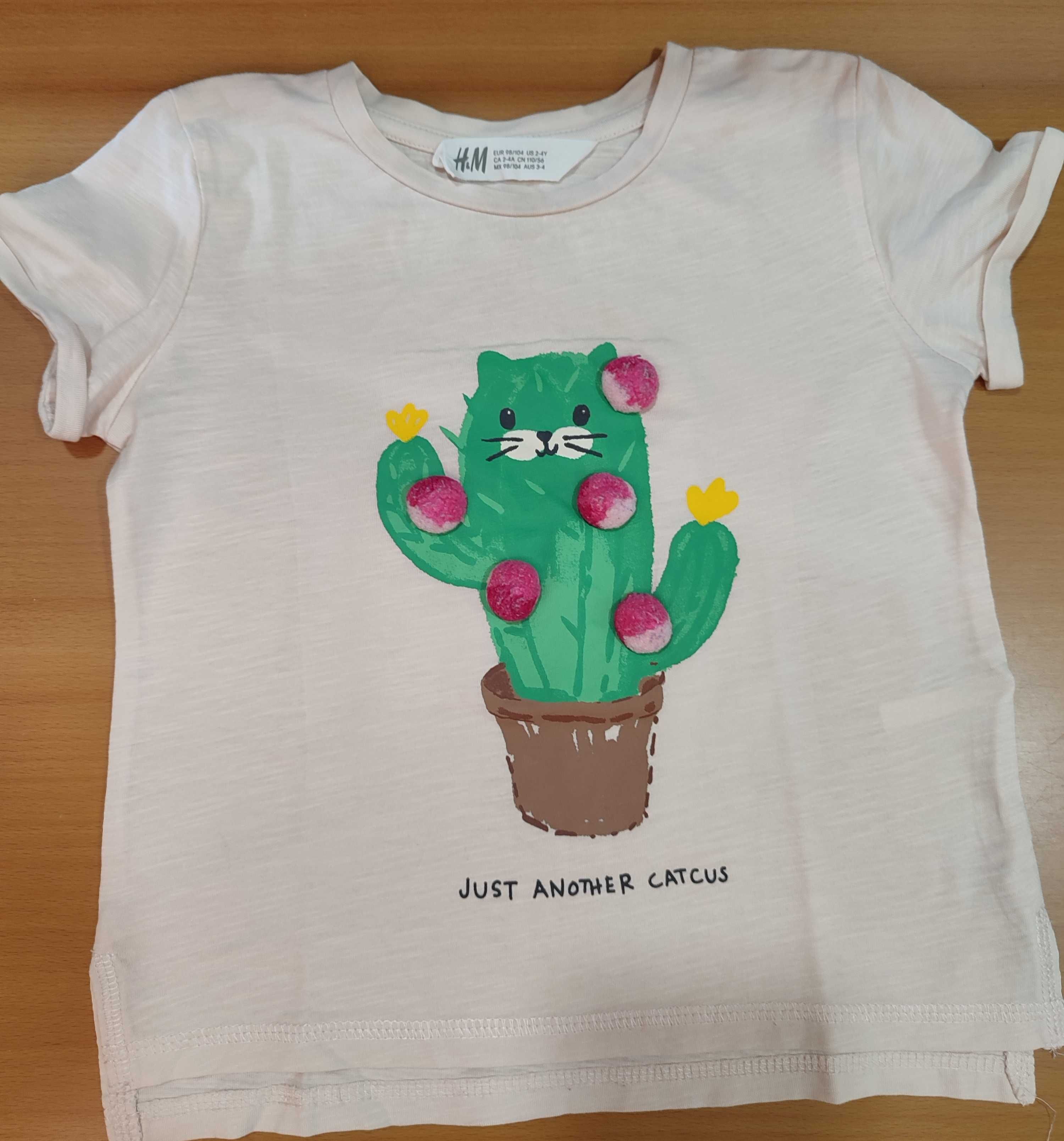 Várias T-shirts menina -  Tam. 3/4 anos - ZARA, H&M, C&A - 2 € cada