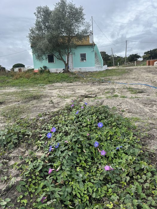 Quinta em gambia Setubal
