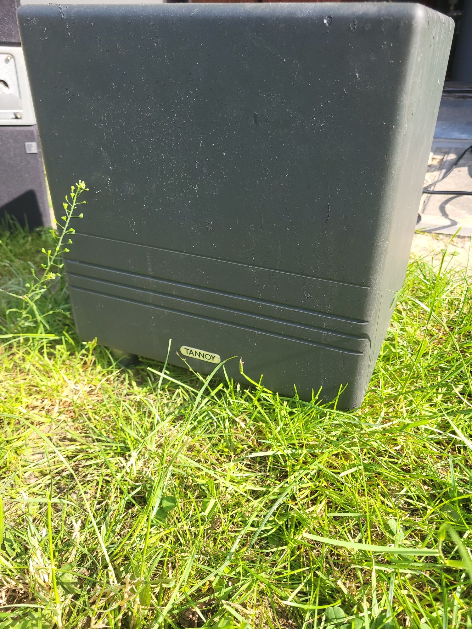 Subwoofer Tannoy TS10 300Watt RMS