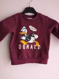 Bluza kaczor Donald 80 Disney