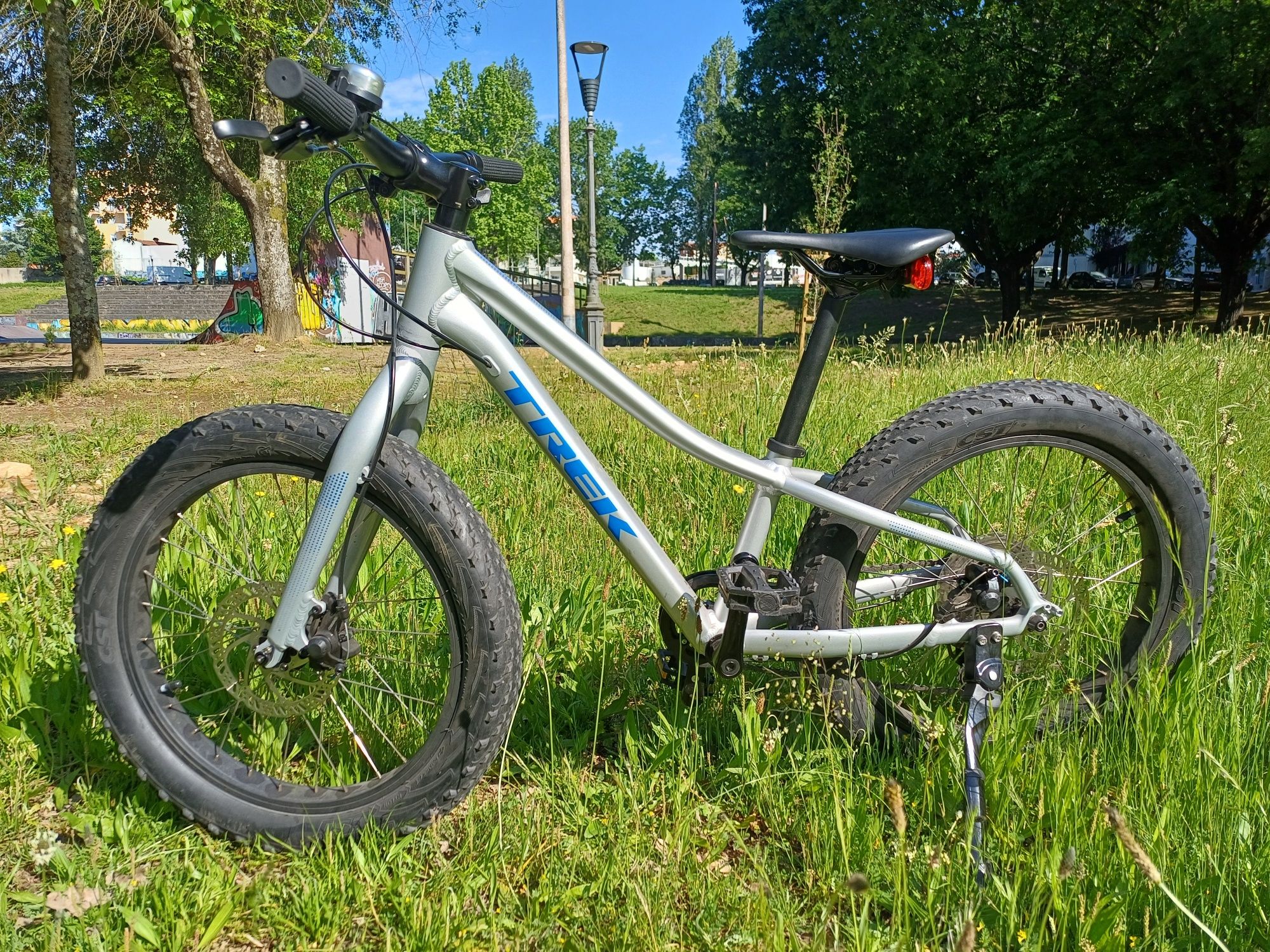 Trek Roscoe 20" Prata e Azul