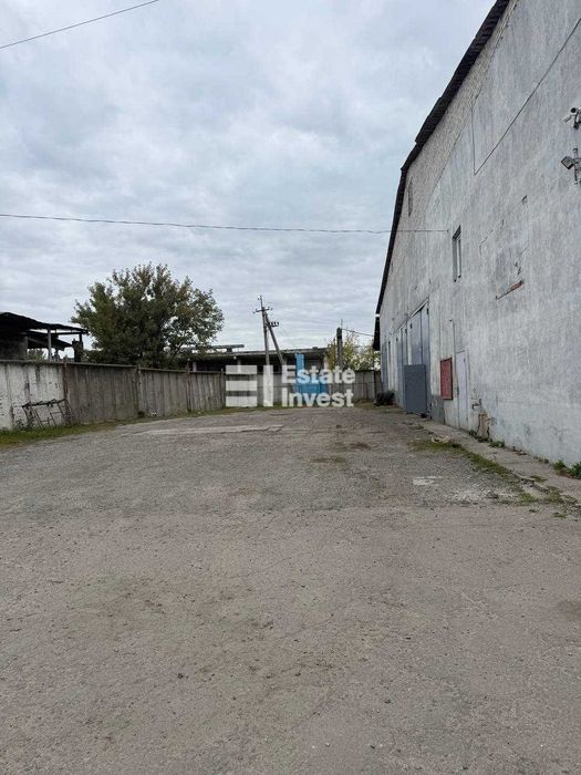 Продам овочебазу у с. Васищеві