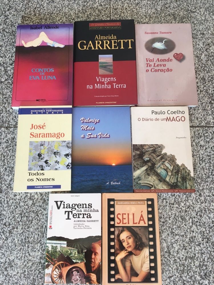 Lote de Livros Vários