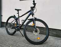 Rower MTB Indiana X-Pulser 3.7