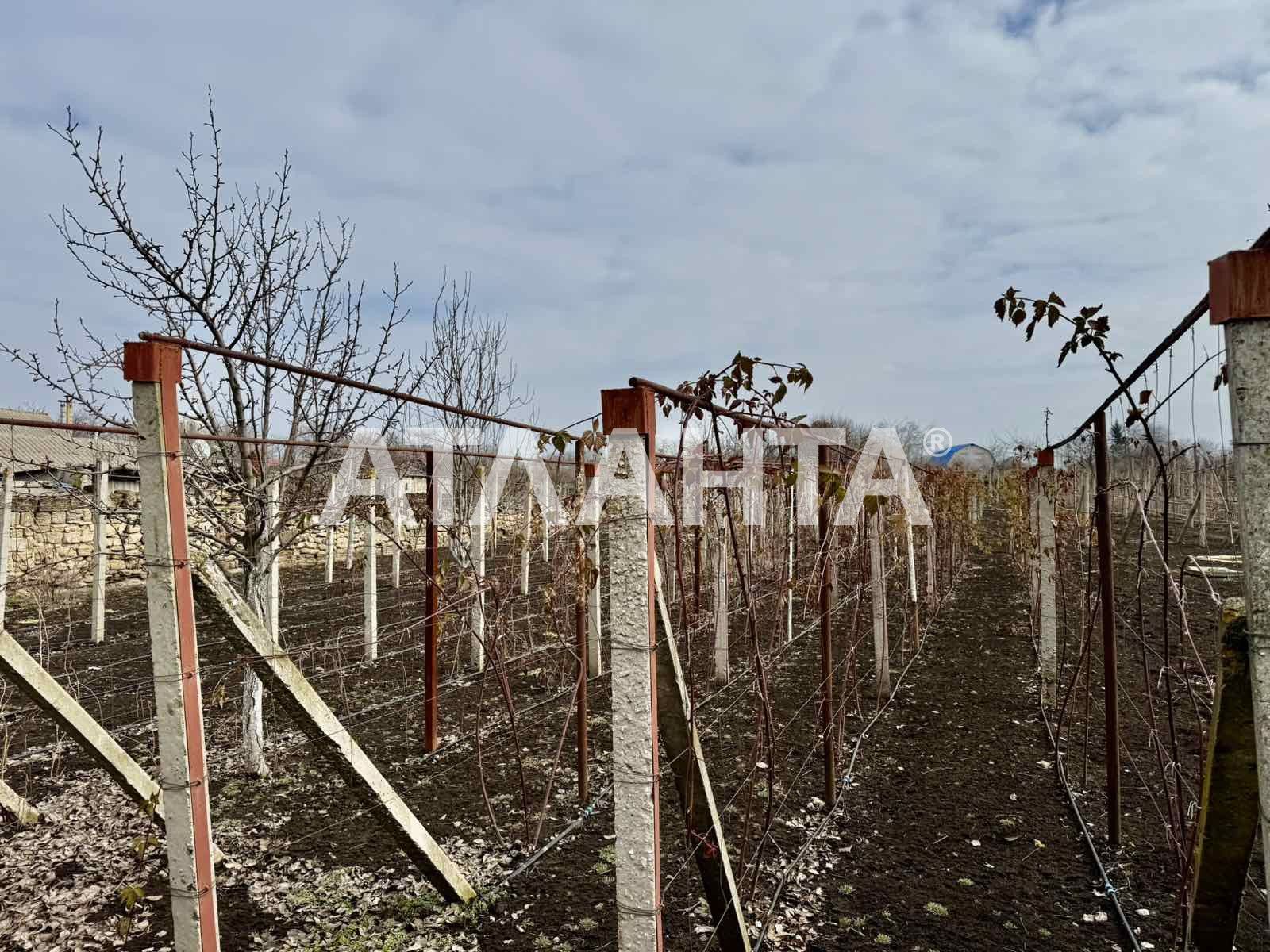 Участок 8,1 соток в Нерубайском в районе Кангуна!