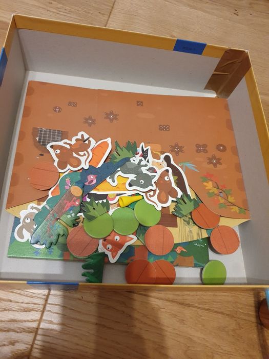 Grzybobranie w zaczarowanym lesie