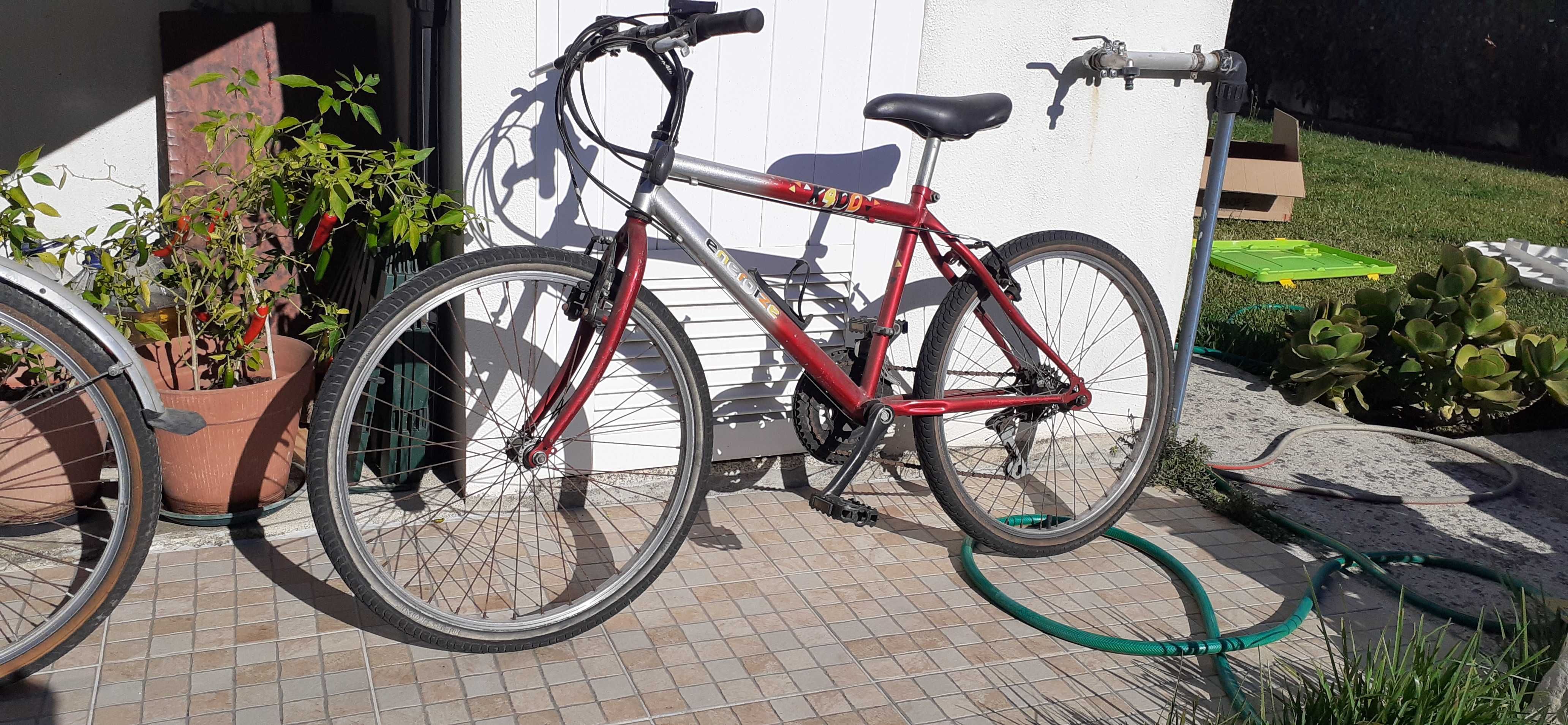 conjunto 2 Bicicletas (Roda 24) - 1 rapariga + 1 rapaz