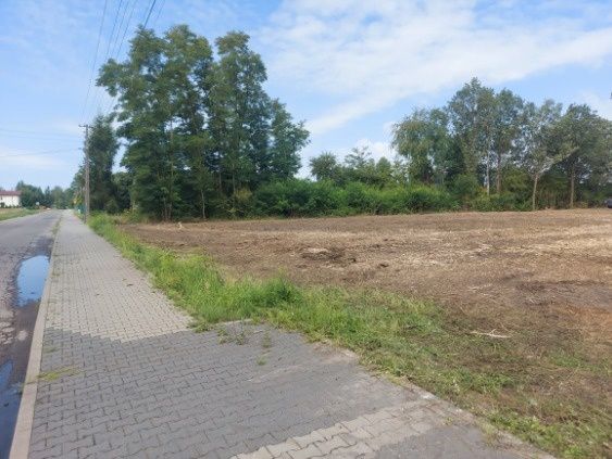Mulczer Leśny Wycinka drzew Mulczer Wgłębny Frezowanie Mulczowanie