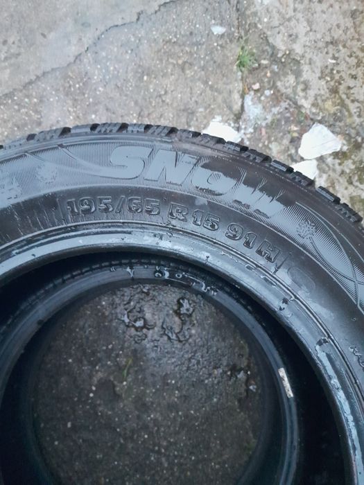 Kormoran 2sztuki. zimowe