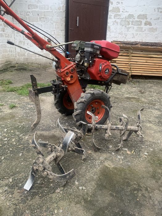 Продам гарного помічника