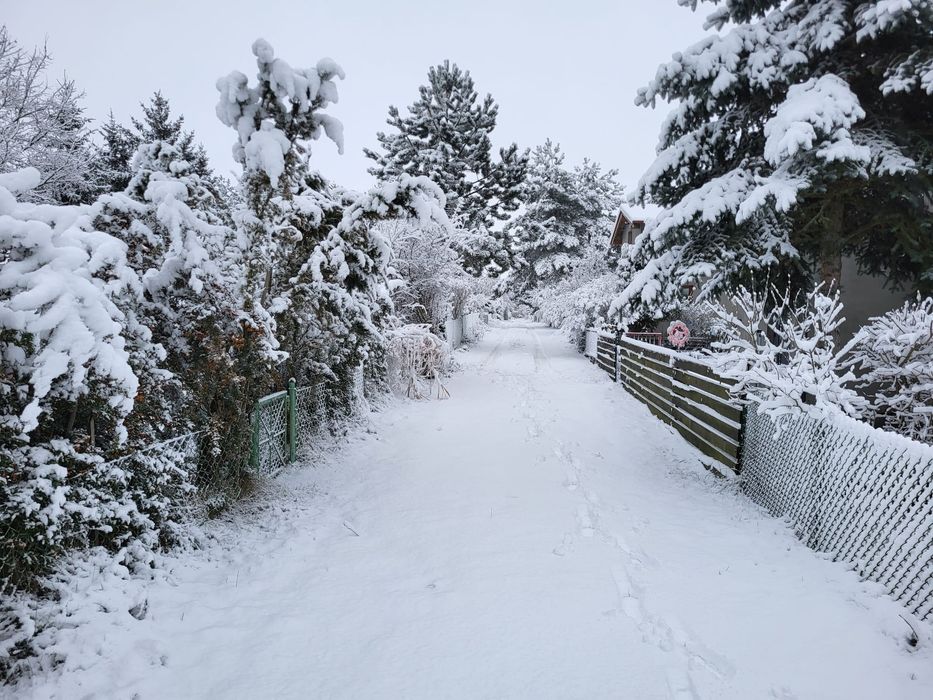 Kurtka Puchowa Columbia XXL