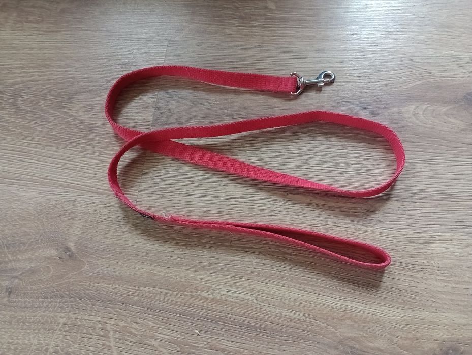 Smycz dla psa 1,2m - Zoo Karina