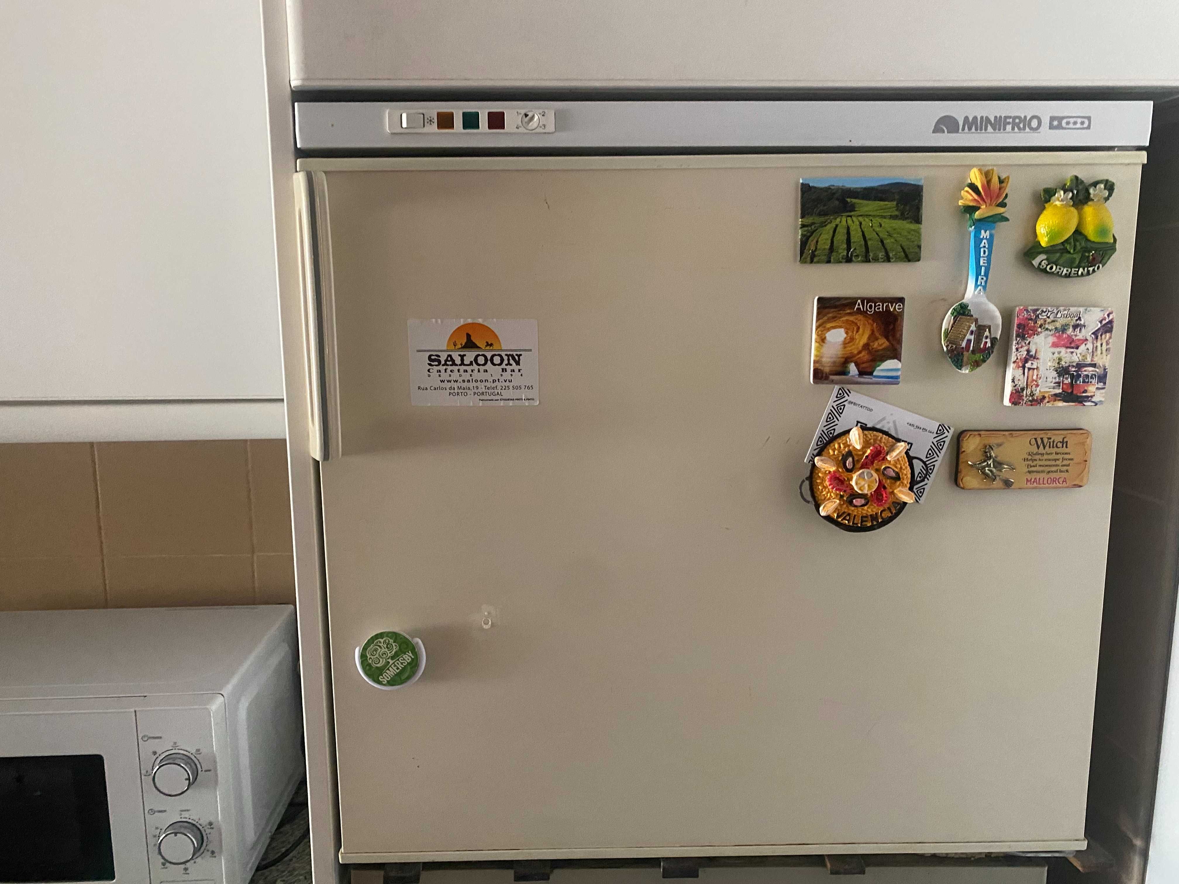 Frigorífico Bosh + arca mini frio