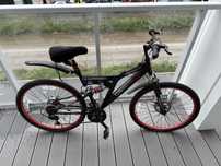 Rower Dunlop Golia