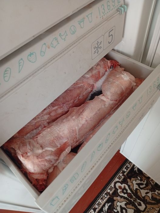 Продам м'ясо кролика