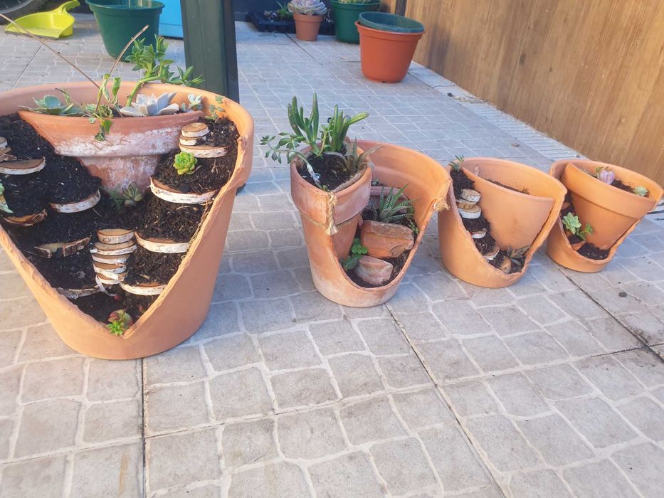 Decoracao de vasos com cactos e soculentas