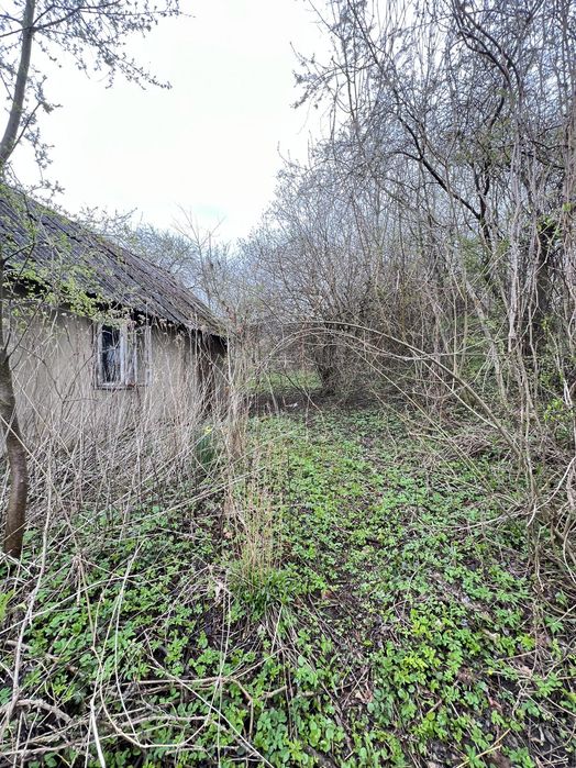 Терміновий продаж ! Ділянка під Будівництво . Вовчухи