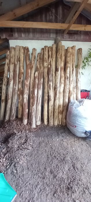 Drągi dębowe, bale stęple słupki ogrodzeniowe okorowane