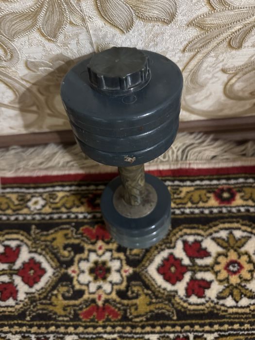 гантеля 5 кг по Дружковке