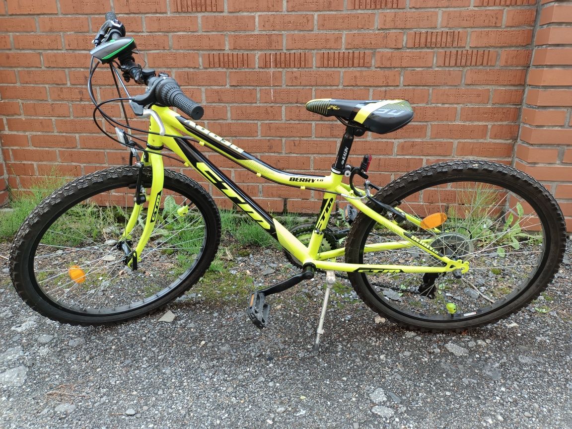 Rower CTM Berry 1.0