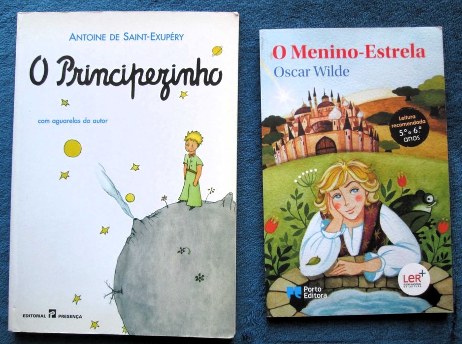 Metas Curriculares + Plano Nacional Leitura