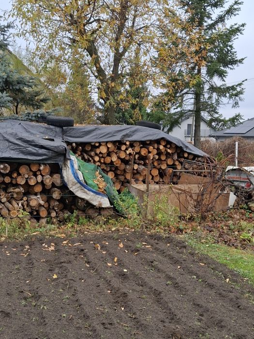 Drzewo opałowe sezonowe