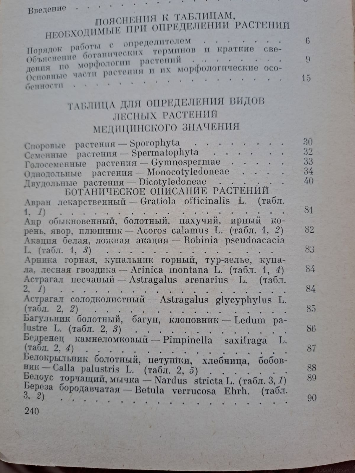 Саутин. Определитель лесных растений