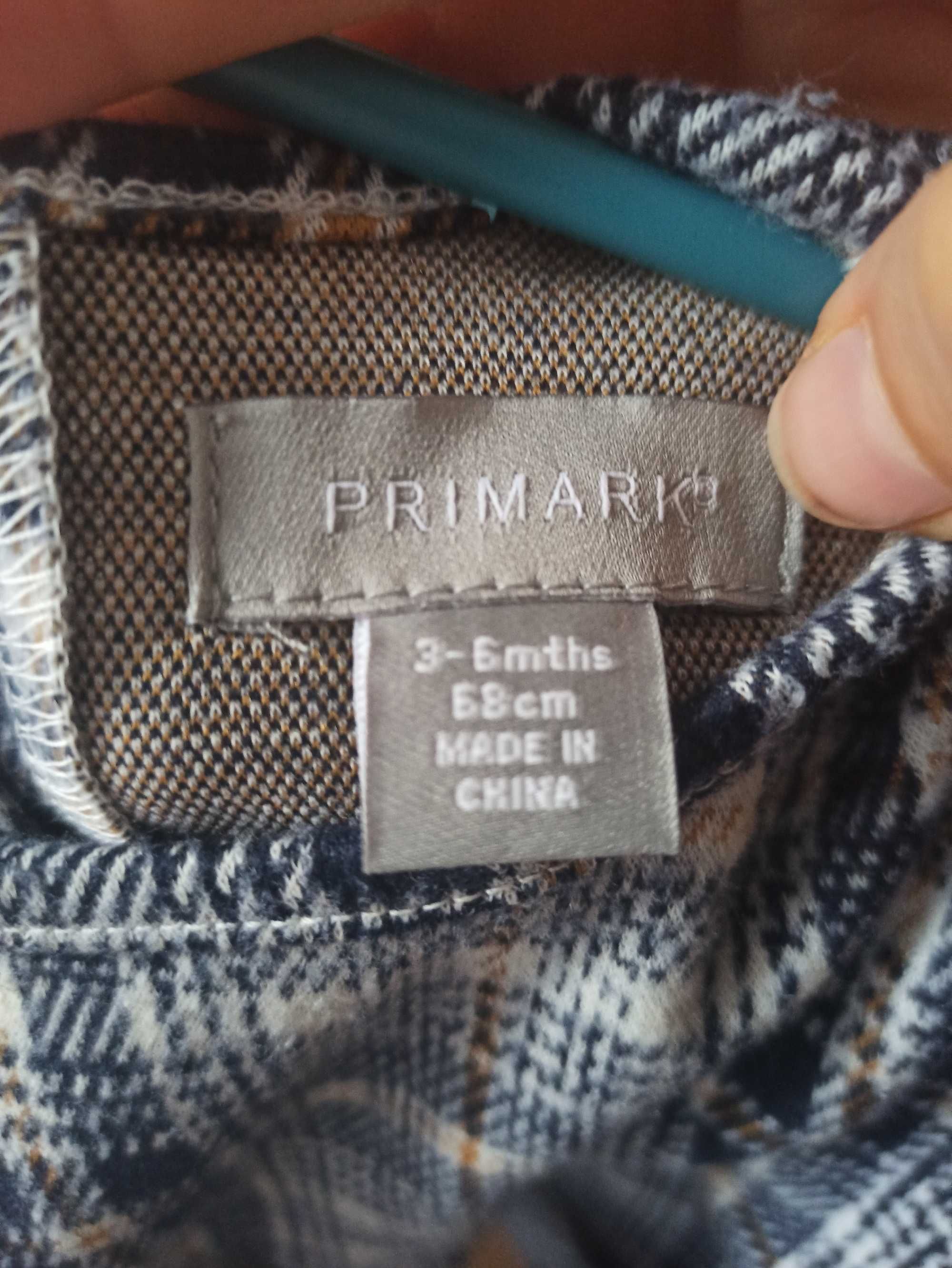 Sukienka Primark