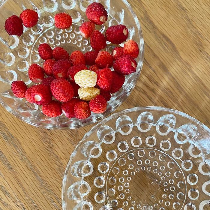 Szklane spodeczki miseczki