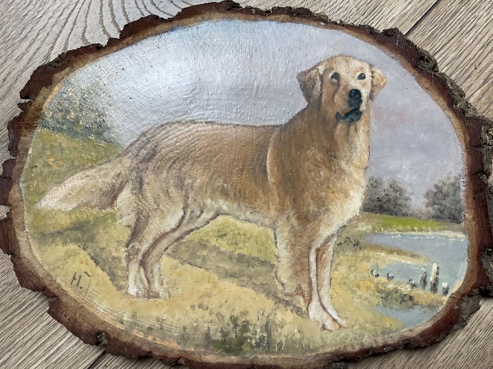 Krążek Drewniany Malowany Golden Retriver Pies 26 x 19 cm