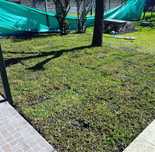 Diseño de jardim