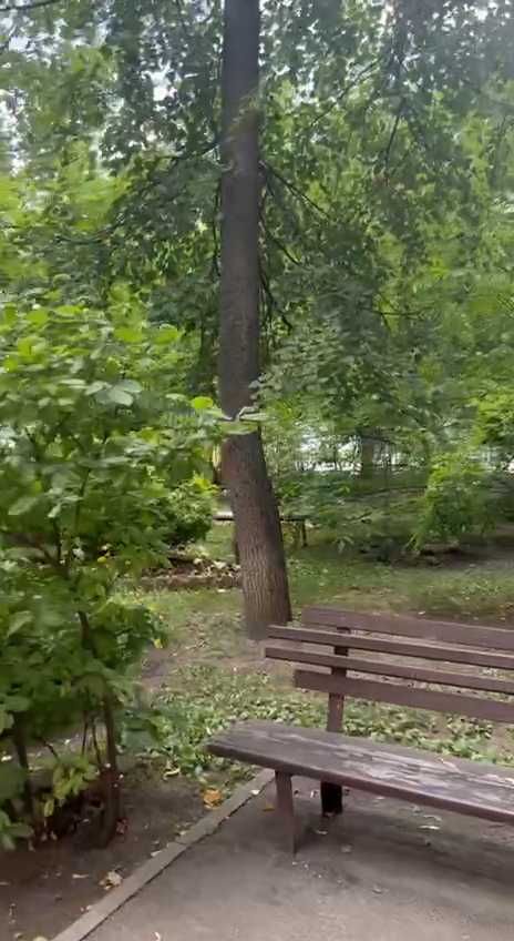 Продам 2-к. кв.в центрі, Центр. парк. Іподром. 56 м2, ремонт