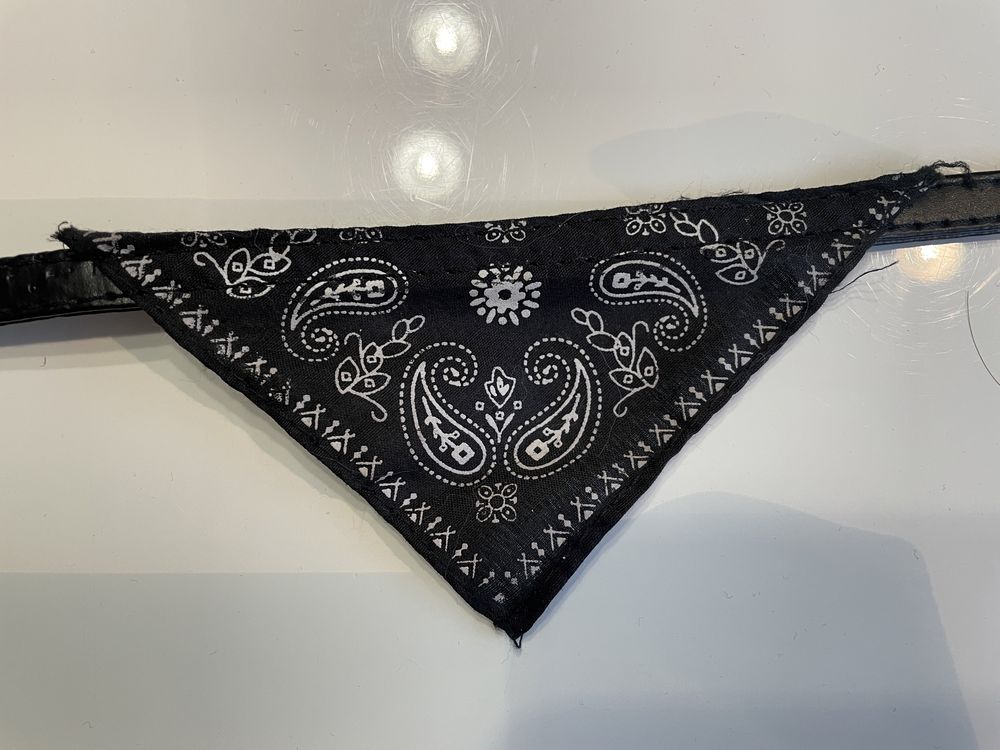Bandana husta obroża dla kota