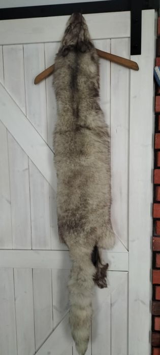 Naturalna skóra z Lisa srebrnego  138 cm