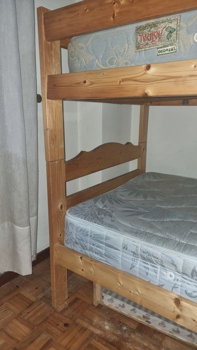 Beliche madeira pinho