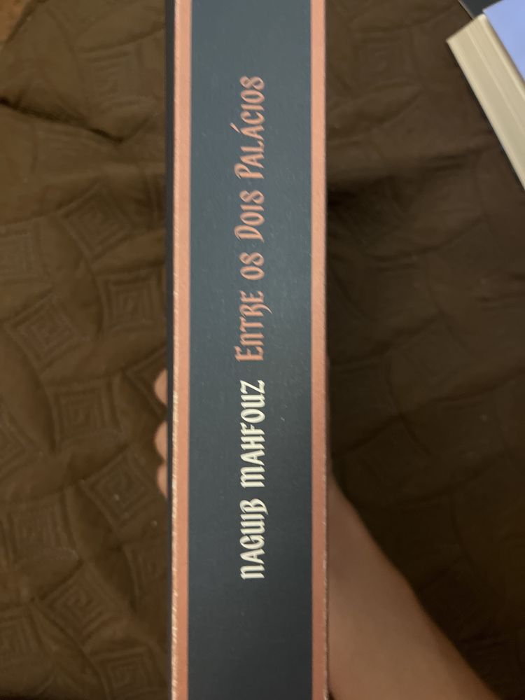 Livro (Entre os Dois Palacios)