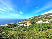 Terreno para construção - Pombal - Arco da Calheta