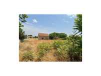 Terreno com 12.000m2 em Azeitão