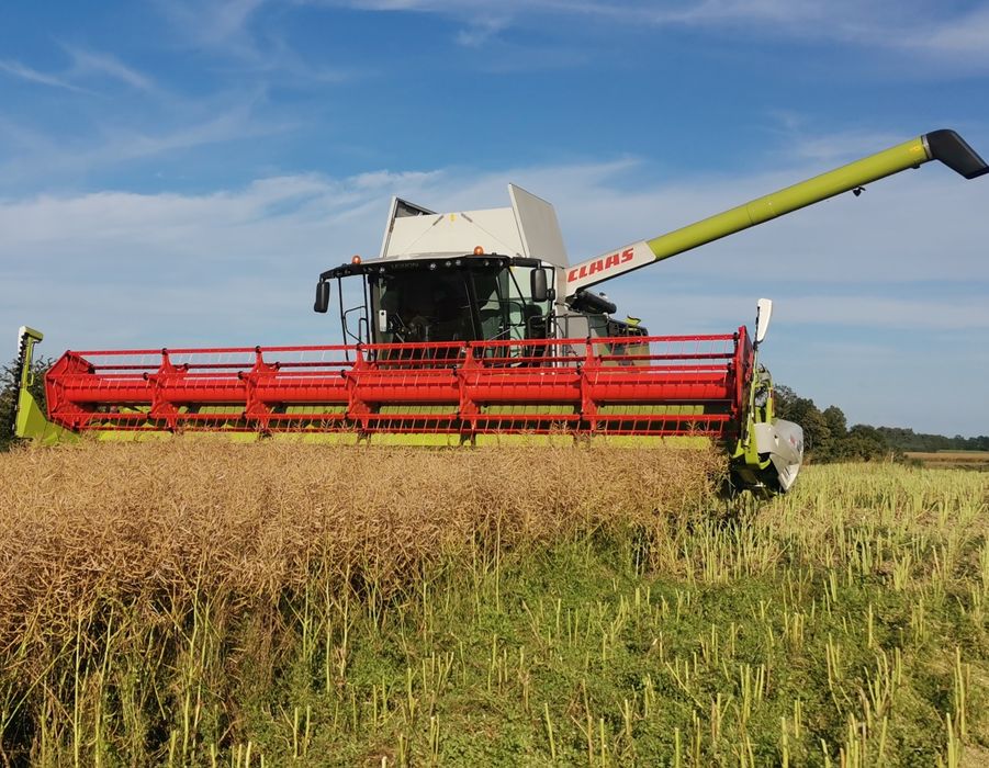 Lexion7600 pierwszy właściciel .420h cemos automatic .navi