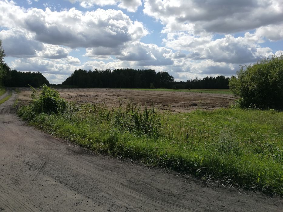 Działka rolna, 1,36 hektara Wólka Wybraniecka