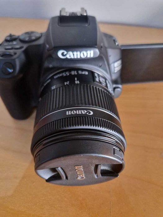 Canon EOS 250D + Canon EF-S 18-55mm f/4-5.6 IS STM