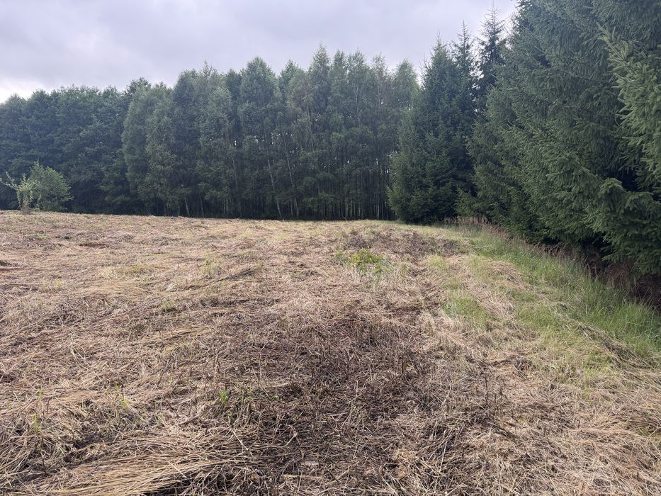 Dzialka Strzyżów Brzeżanka