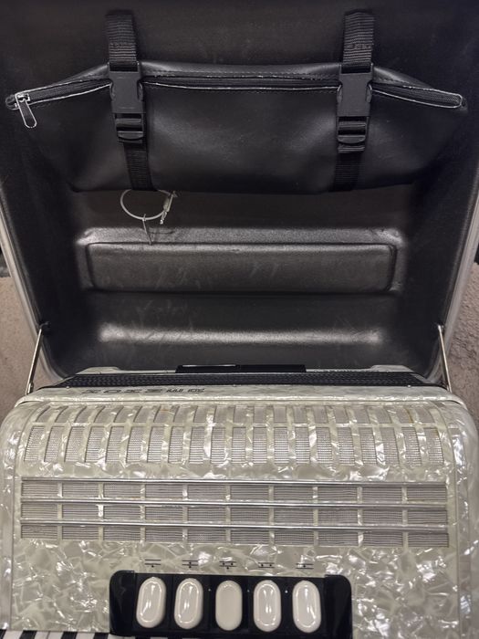 Acordeão em otimo estado