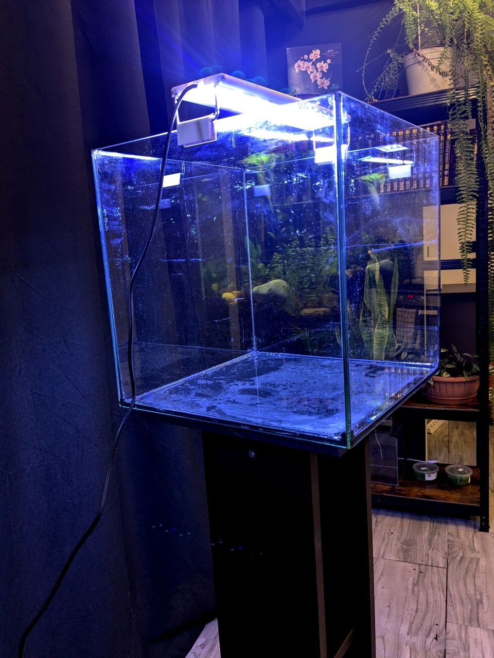 Akwarium krewetkarium cube kostka 30l