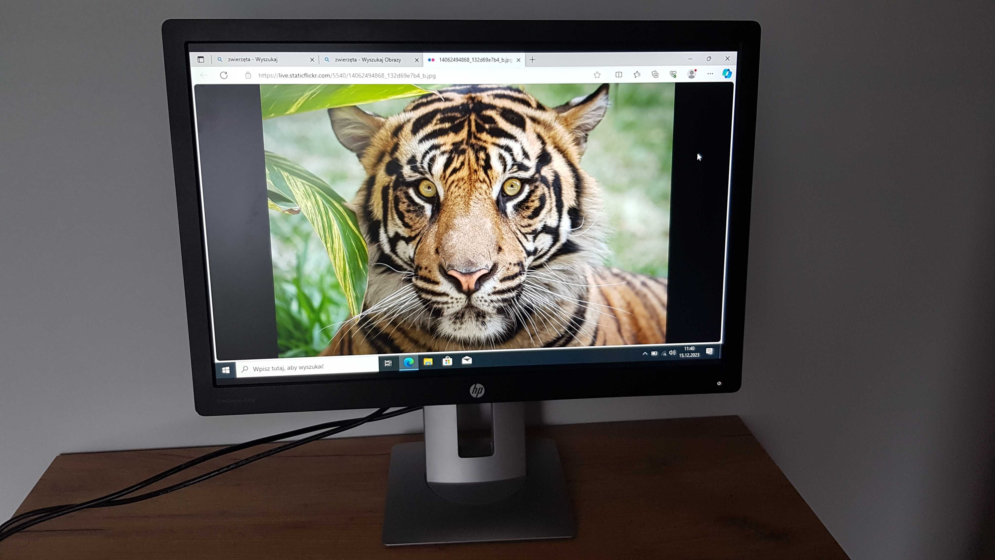 Monitor    HP  24 " HDmi