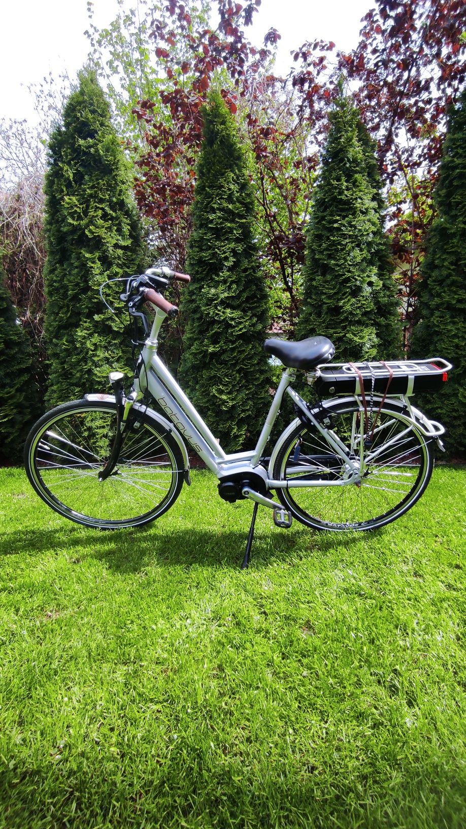 Mocny Rower elektryczny Batavus Stream z silnikiem centralnym Yamaha
