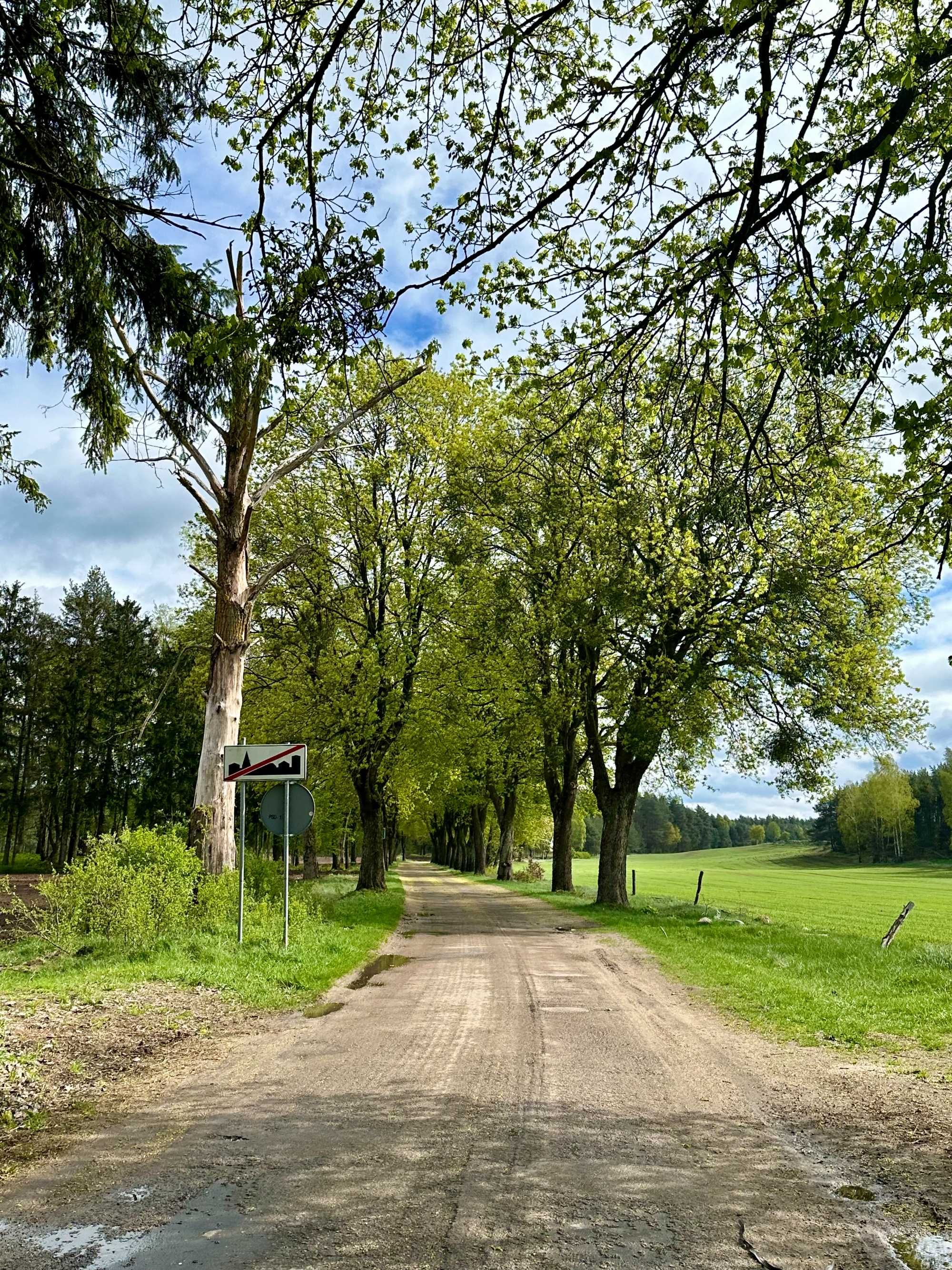 Działka siedliskowa w zabudowie na sprzedaż Drwęck 800 m2 k. Olsztynka